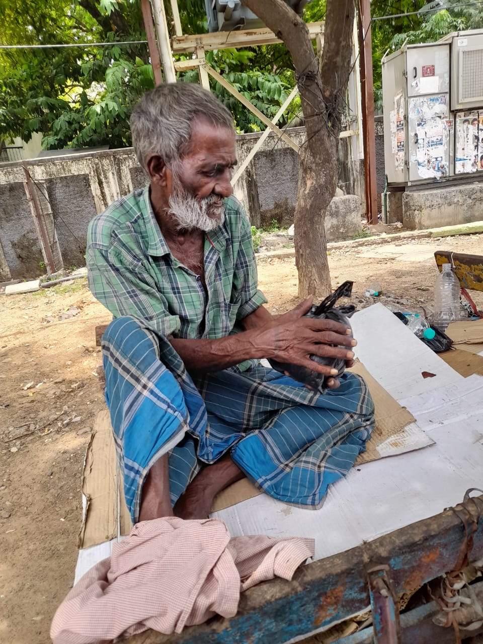 Community Feeding — photo 2