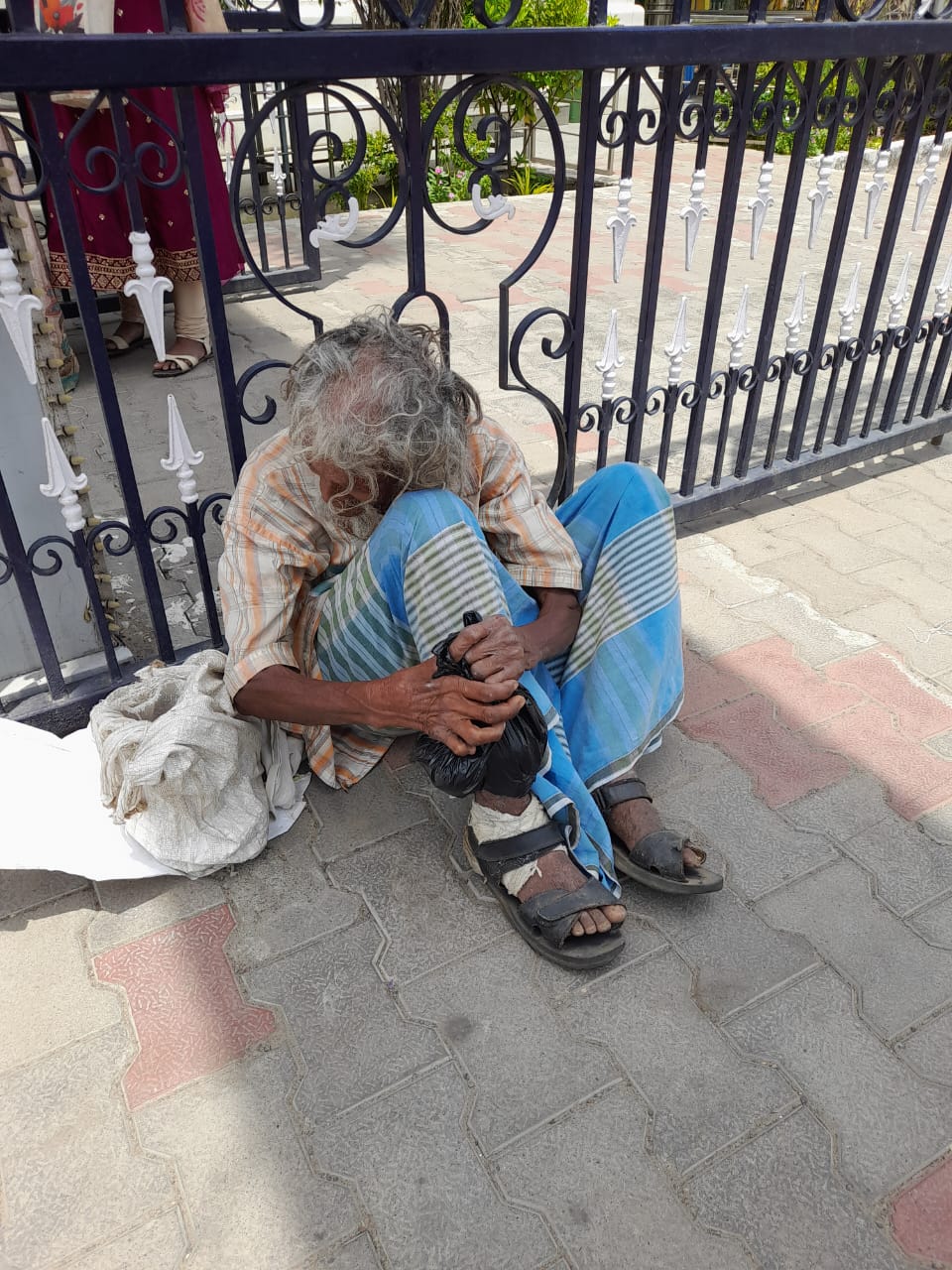 Community Feeding — photo 3