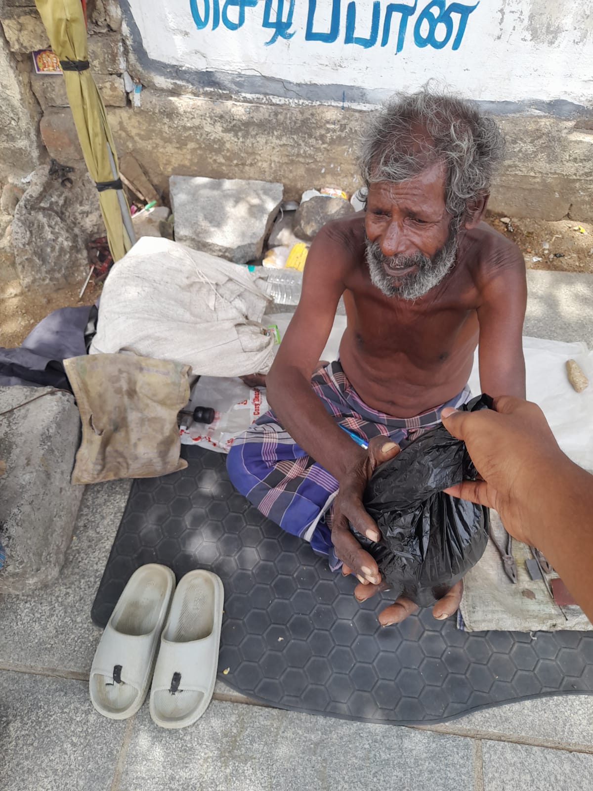 Community Feeding — photo 8
